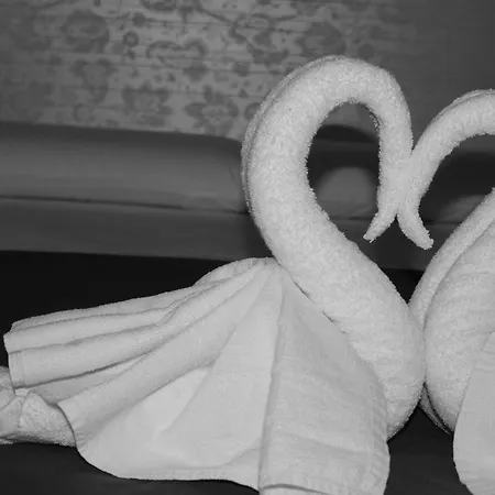 Guest house Bcn Condal 2*